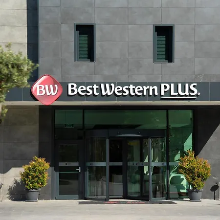 Western 4* 트라존